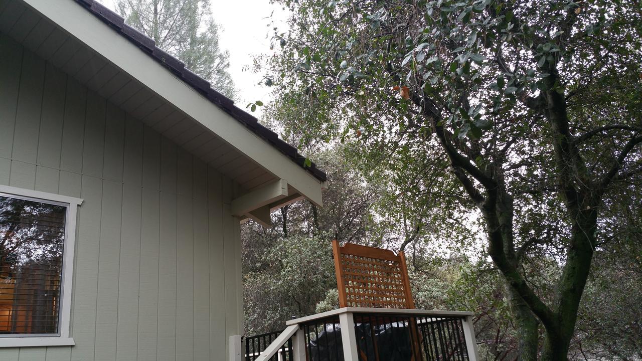 Lovely Mountain Lake Chalet By Yosemite: Equipped! Groveland Exterior foto